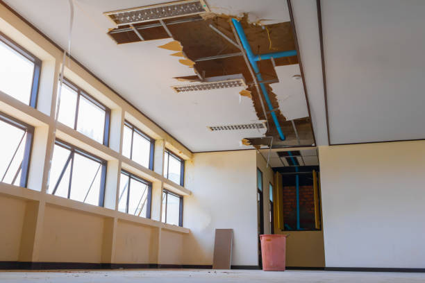 Best 24/7 water damage repair  in Cle Elum, WA