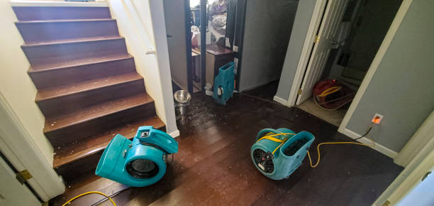 Best Fire Damage Restoration  in Cle Elum, WA