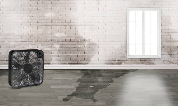 Best 24-hour water damage restoration  in Cle Elum, WA