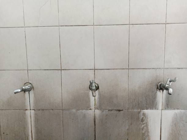 Best Carpet water damage restoration  in Cle Elum, WA