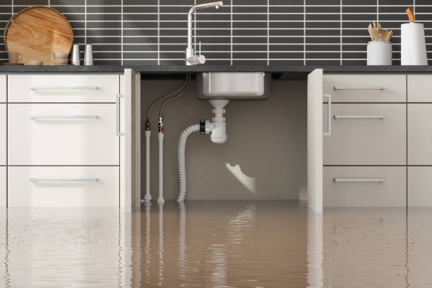 Best Fire Damage Restoration  in Cle Elum, WA